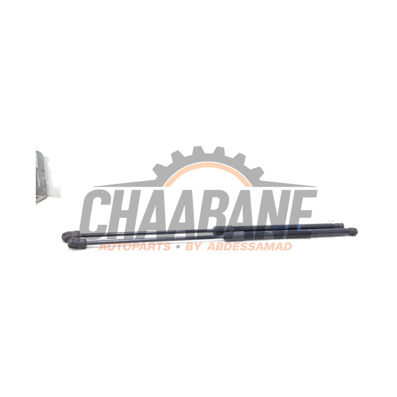 Kit amortisseur couvercle coffre A2539800300 Mercedes GLC (X253) 2.0 C-220d 16V 4-Matic