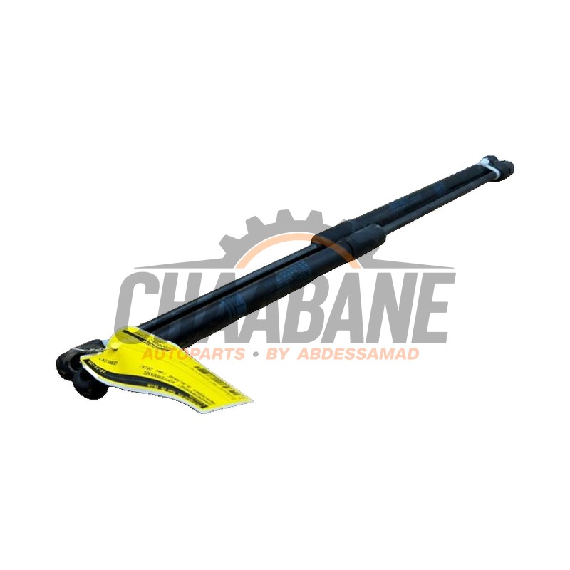 Kit amortisseur couvercle coffre A1779800164 Mercedes A (177.0) 1.5 A-180d