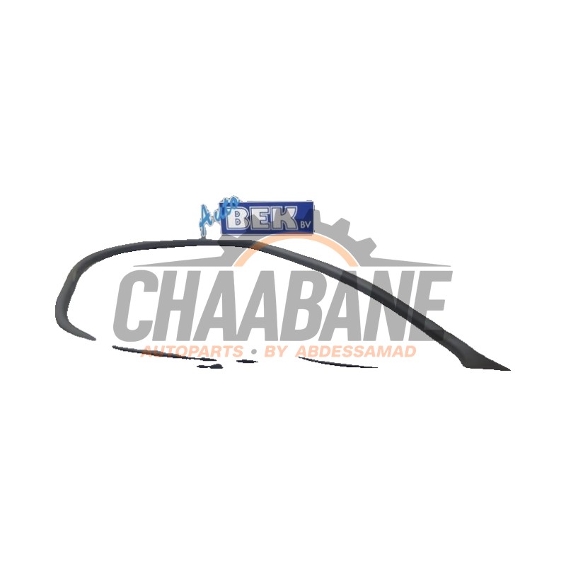 Joint caoutchouc portiere 4portes avant gauche 9J1831721AL Porsche Taycan (Y1A) 4S 105 kWh 2019