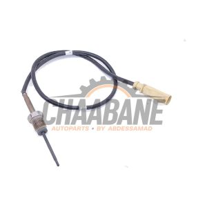 Sensor temperature d'echappement 05L906088AL Volkswagen Caddy Cargo V (SBA/SBH) 2.0 TDI BlueMotionTechnology 2020