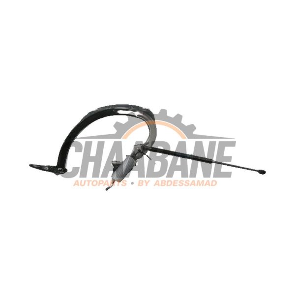 Couvercle coffre charniere 41009465133 BMW 2-Serie 2019