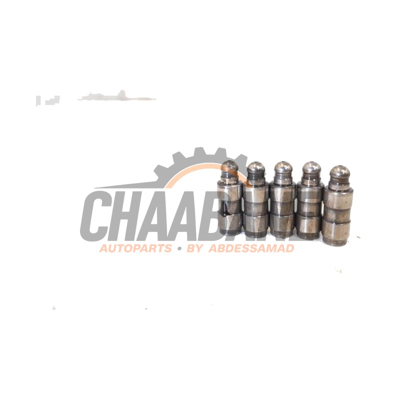 Poussoir de soupape 022109423D Audi RS 3 Sportback (8VA/8VF) 2.5 TFSI 20V Quattro 2015 / 2020