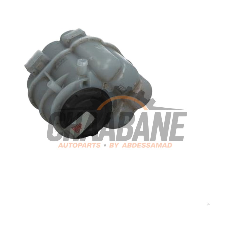 Vase dexpansion 8W1121405F Audi S5 (F53/F5P) 3.0 TFSI V6 24V 2016