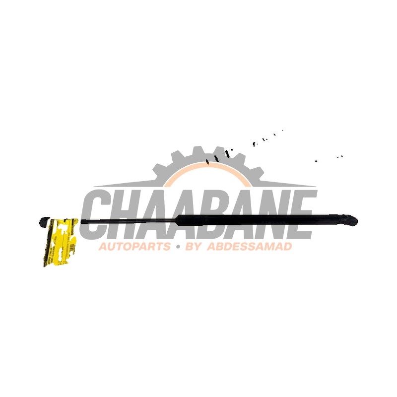 Amortisseur a gaz arriere droit A2189800164 Mercedes CLS Shooting Brake (X218) 350 CDI BlueEfficiency 3.0 V6 24V