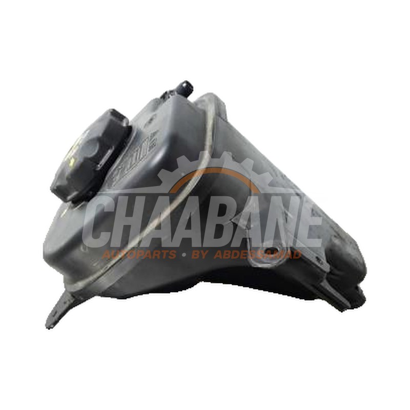Vase dexpansion BMW X6 (F16) xDrive40d 3.0 24V 2014 / 2019