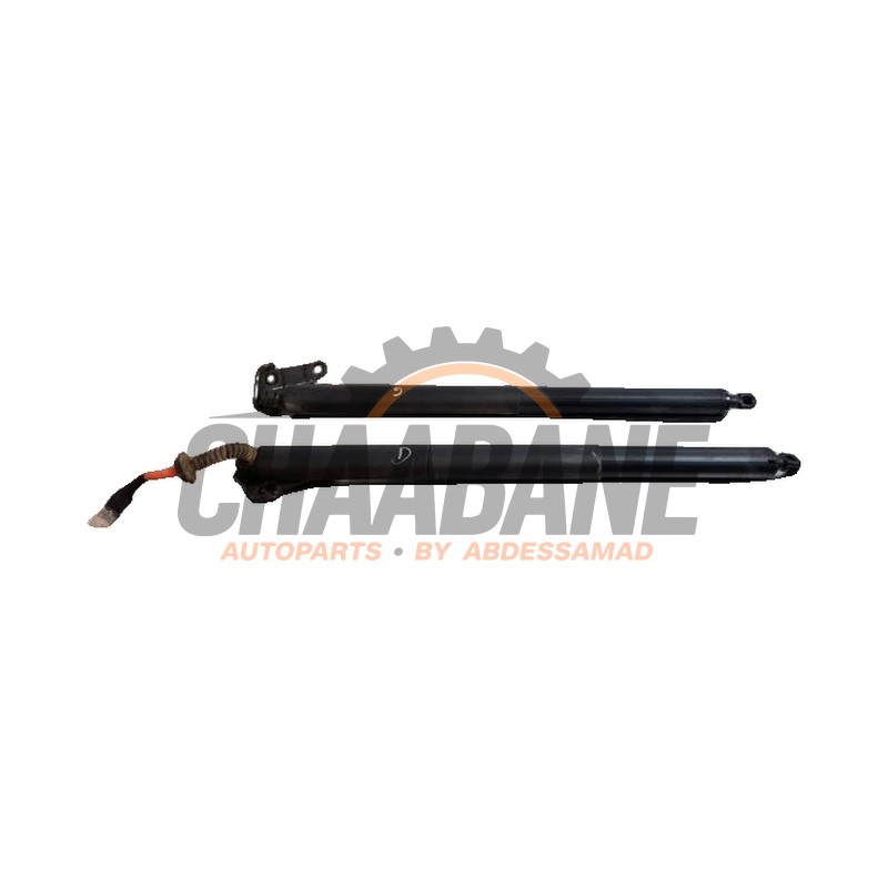 Kit amortisseur couvercle coffre 51249482962 BMW X1 (F48) sDrive 18d 2.0 16V 2014 / 2022