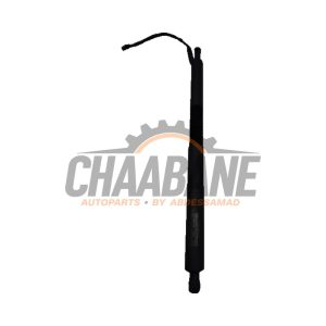 Amortisseur a gaz arriere droit 51247298984 BMW 3 serie Gran Turismo (F34) 320d 2.0 16V 2012 / 2020