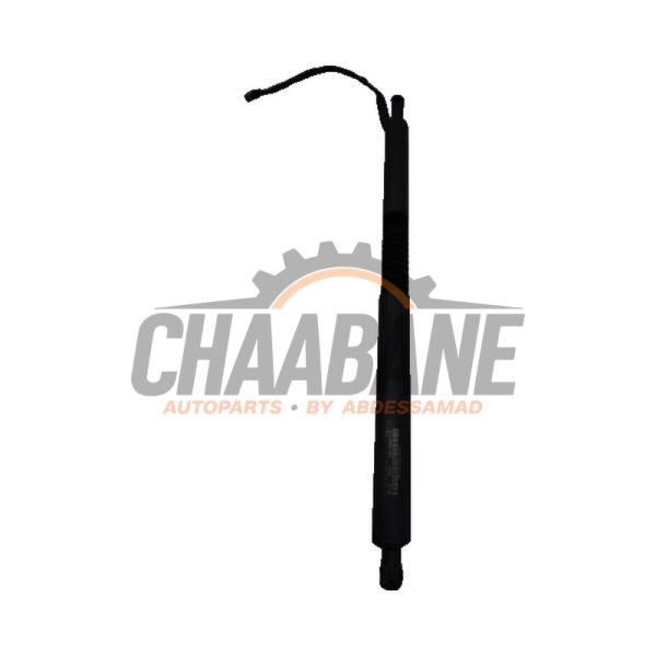 Amortisseur a gaz arriere droit 51247298984 BMW 3 serie Gran Turismo (F34) 320d 2.0 16V 2012 / 2020