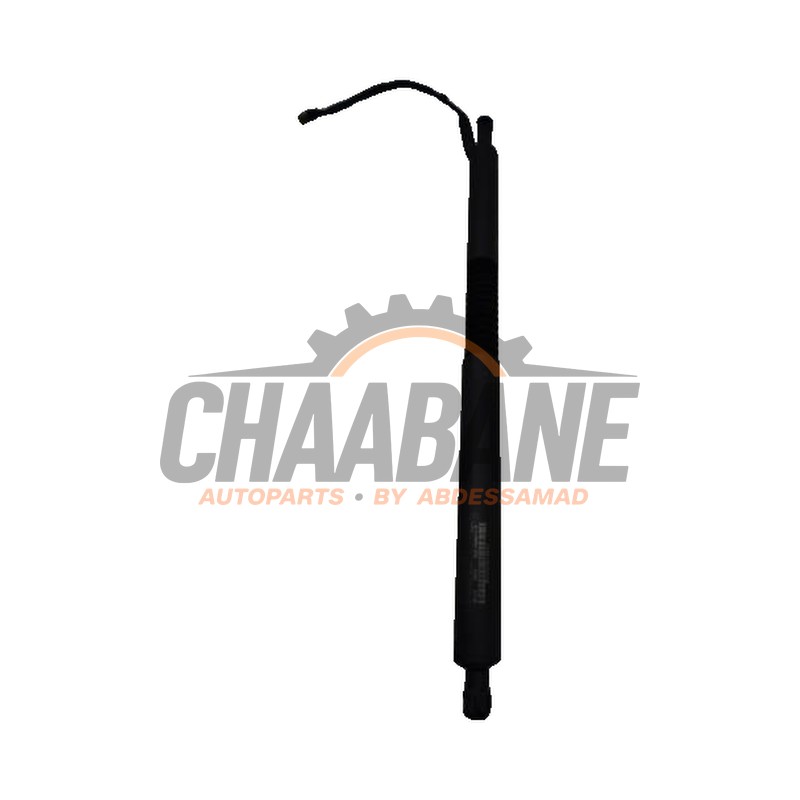 Amortisseur a gaz arriere droit 51247298984 BMW 3-Serie 2012 / 2020