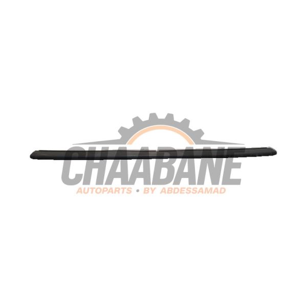 Caoutchouc capot 5176741938007 BMW i4 (G26) M50 84 kWh 2021