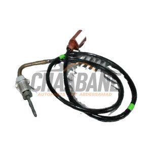 Sensor temperature d'echappement 04L906088JJ Seat Tarraco 2.0 TDI 190 4Drive 16V 2018 / 2024