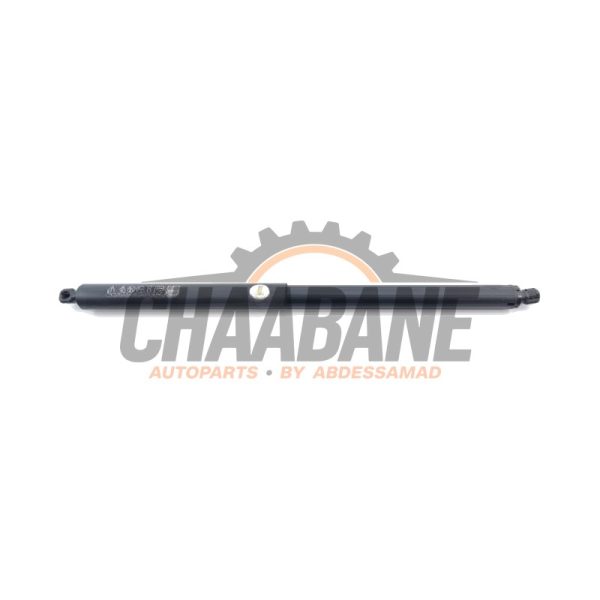 Amortisseur a gaz arriere droit 5LG827552A Skoda Enyaq iV 85 2021