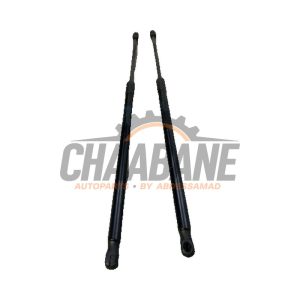 Verin de coffre 51247456042 BMW 1 serie (F40) 118i 1.5 TwinPower 12V 2019