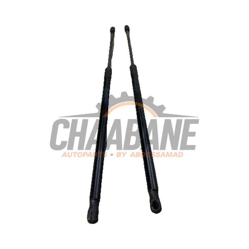 Verin de coffre 51247456042 BMW 1 serie (F40) 118i 1.5 TwinPower 12V 2019