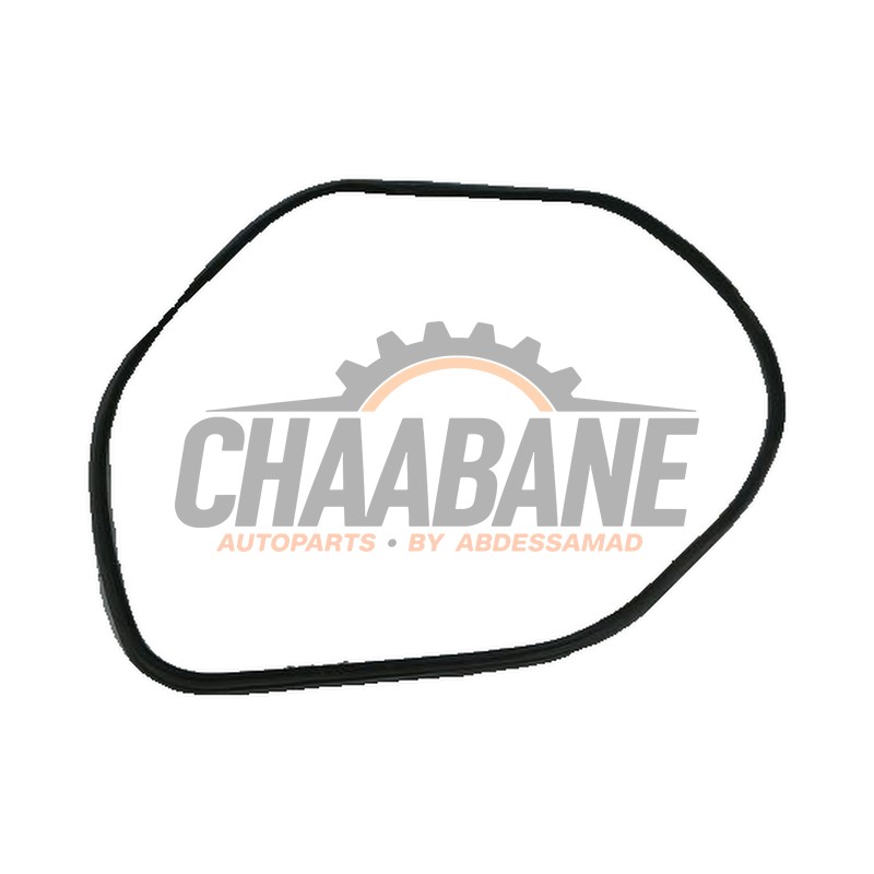 Joint caoutchouc portiere 4portes avant gauche 7289610 BMW X5 2013 / 2018