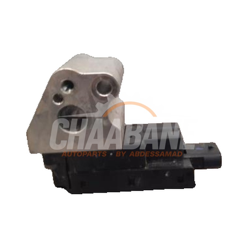 Valve dexpansion clim Cupra Born 77 e-boost 2021 1EA816590B