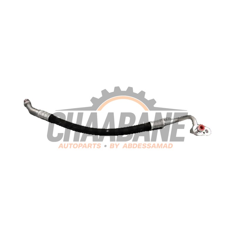 Tuyau de climatisation 1EA816721 Cupra Born 2021