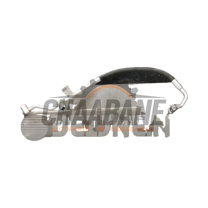 Tuyau de climatisation Cupra Born 58 2021 1EA816545G