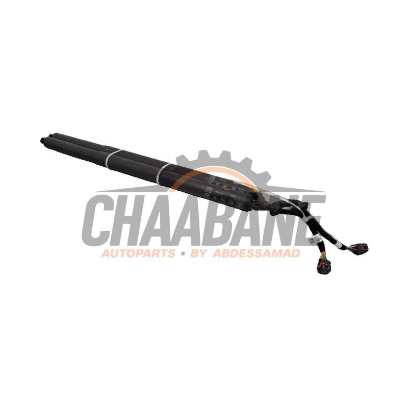 Kit amortisseur couvercle coffre 89A827851B Audi Q4 (F4B) 45 e-tron quattro 77 kWh 2021