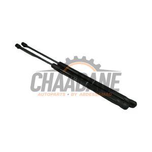 Amortisseur a gaz arriere gauche 2Q0513049DE Volkswagen Taigo 2021