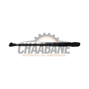 Amortisseur a gaz arriere gauche 51479168507 BMW 6 serie Gran Turismo (G32) 630d xDrive 3.0 TwinPower Turbo 24V 2017 / 2024