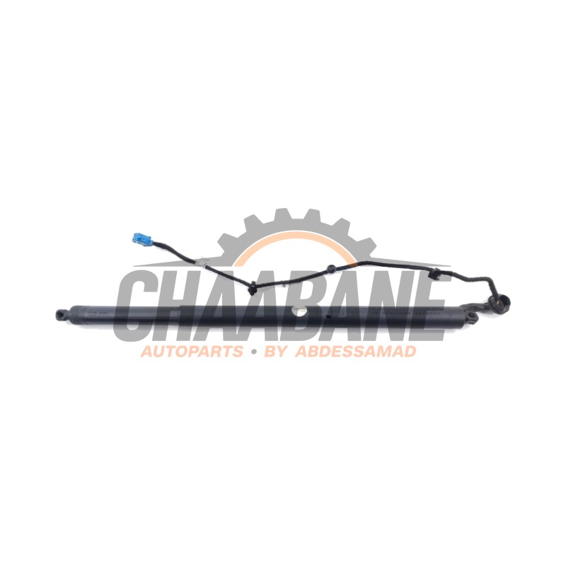 Hayon moteur A2538902300 Mercedes GLC Coupe (C253) 2.0 300 16V 4-Matic