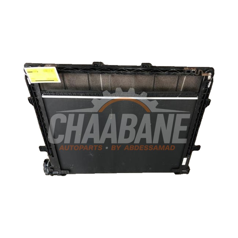 Jalousie de radiateur 1EA122135E Audi Q4 Sportback (4FN) 40 e-tron 2021