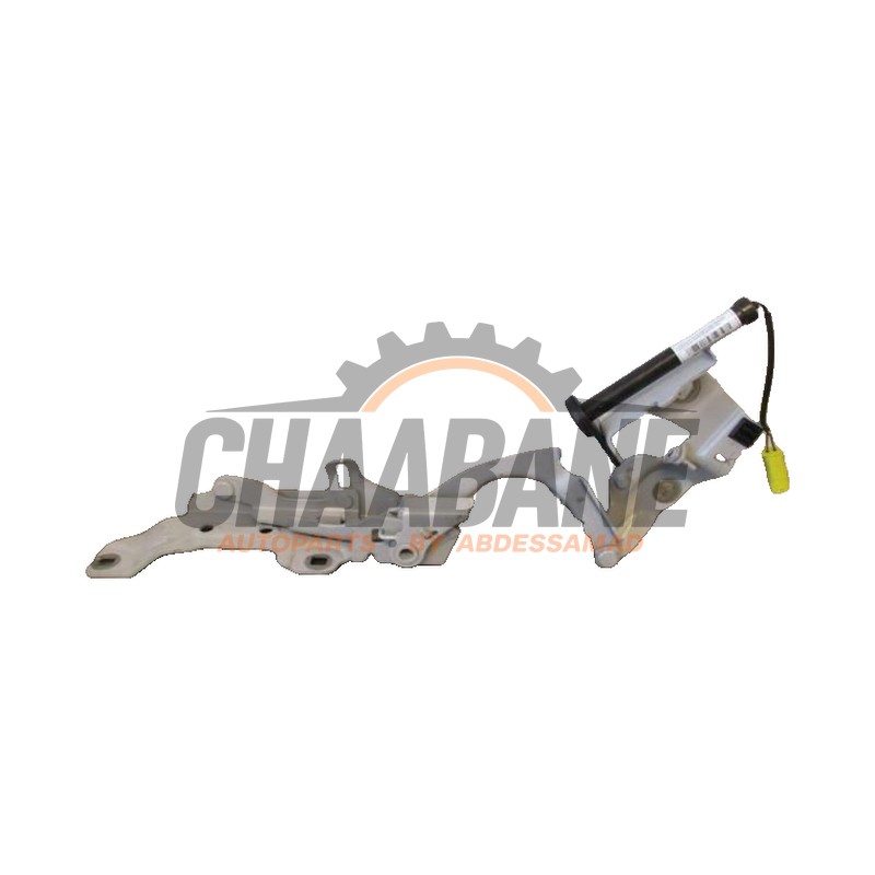 Charniere porte avant gauche 0589P1000095 BMW 2 serie Active Tourer (F45) 218d 2.0 TwinPower Turbo 16V 2013 / 2021