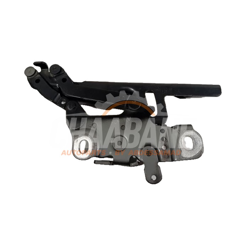 Amortisseur kit capot moteur 139896 BMW 3-Serie 2013 / 2018