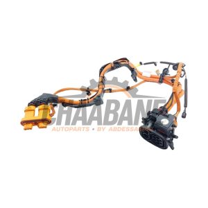 Port de chargement voiture electrique 5LA971531AC Skoda Enyaq iV 85 2021