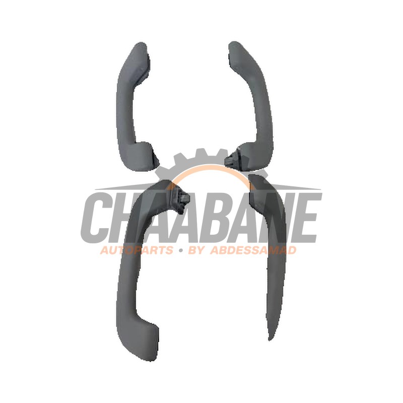 Ensemble de Poignee interieur 05824120B BMW 1 serie (F40) 118d 2.0 16V 2019
