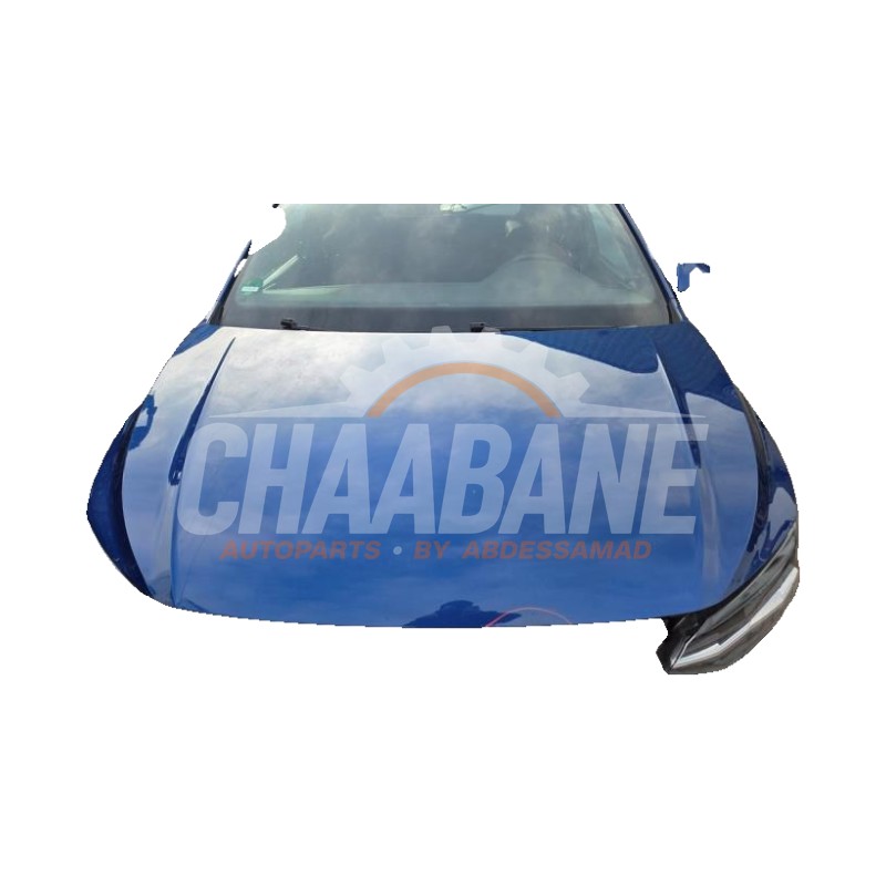 Capot 2G0823031J Volkswagen Polo VI (AW1) 1.5 TSI 16V 2017