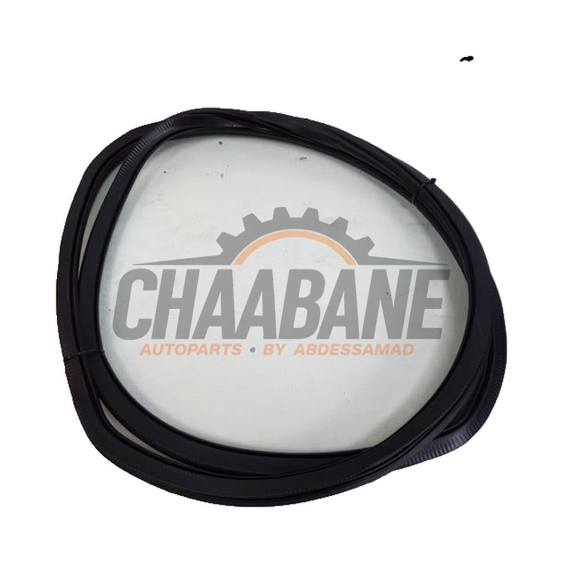 Joint caoutchouc portiere 4portes avant gauche Cupra Born 58 2021 10A867911A