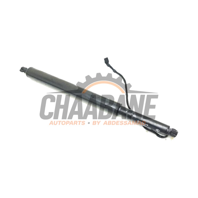 Amortisseur a gaz arriere droit 51245A635D4 BMW iX (I20) xDrive40 77 kWh 2021