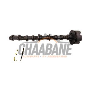 Arbre a cames 079109101HJ Audi RS 5 (8F7) 4.2 V8 32V 2013 / 2015