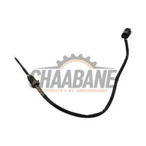 Sensor temperature d'echappement 8570234 BMW X7 2019