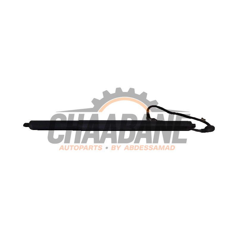 Amortisseur a gaz arriere gauche 18112620 Audi Q3 (F3B) 1.5 35 TFSI 16V 2018