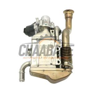 Valve RGE 65492080 Mercedes E (C238) E-220d 2.0 Turbo 16V