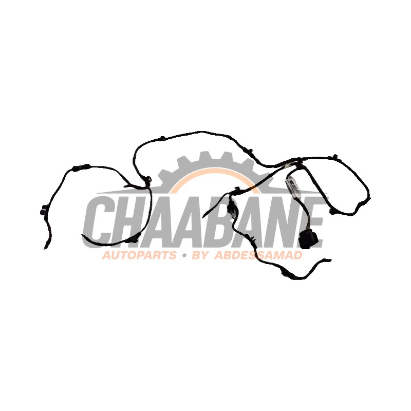 Faisceau de cables Pdc 5FF971194A Cupra Formentor 2020