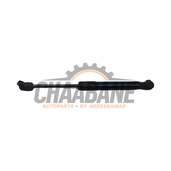 Amortisseur kit capot moteur 51237239233 BMW M1 2012 / 2019