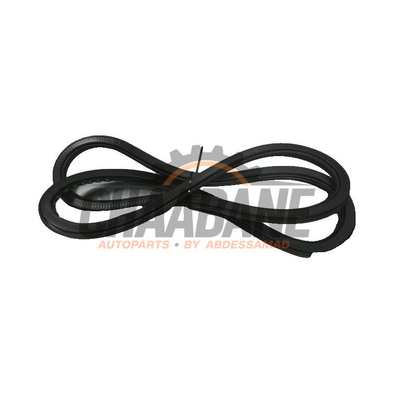 Joint caoutchouc portiere 4portes arriere gauche 8U0833721A Audi RSQ3 2013 / 2018