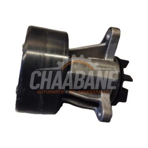 Pompe a eau LR013164 Landrover Range Rover IV (LG) 3.0 TDV6 24V