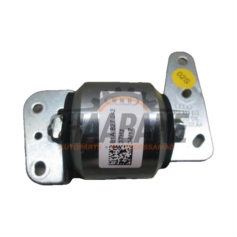 Amortisseur de vibrations 81A827242 Audi Q2 (GAB/GAG) 2016