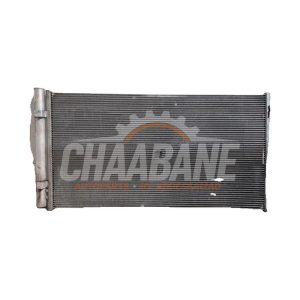 Condenseur de climatisation L8D219710AA Landrover Range Rover Evoque II (LZC/LZS/LZH)