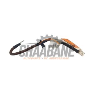 Cable (divers) 1EA971354 Cupra Born 58 2021