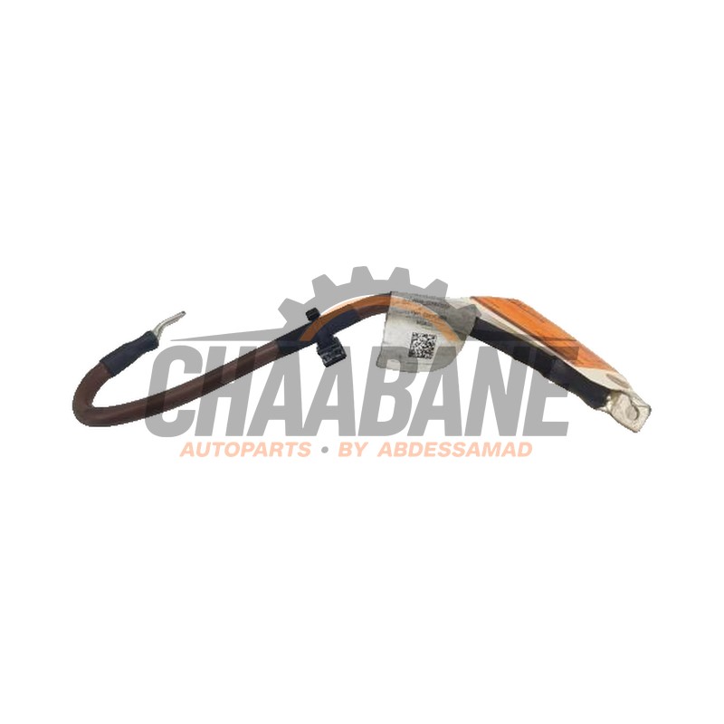 Cable (divers) Cupra Born 58 2021 1EA971354
