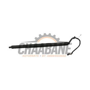 Amortisseur a gaz arriere droit 80F827851A Audi Q5 2020