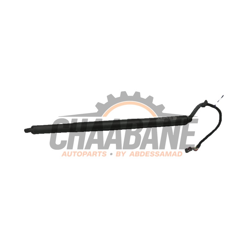 Amortisseur a gaz arriere droit 80F827851A Audi Q5 2020