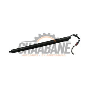 Amortisseur a gaz arriere gauche 5E7827851C Skoda Octavia 2019