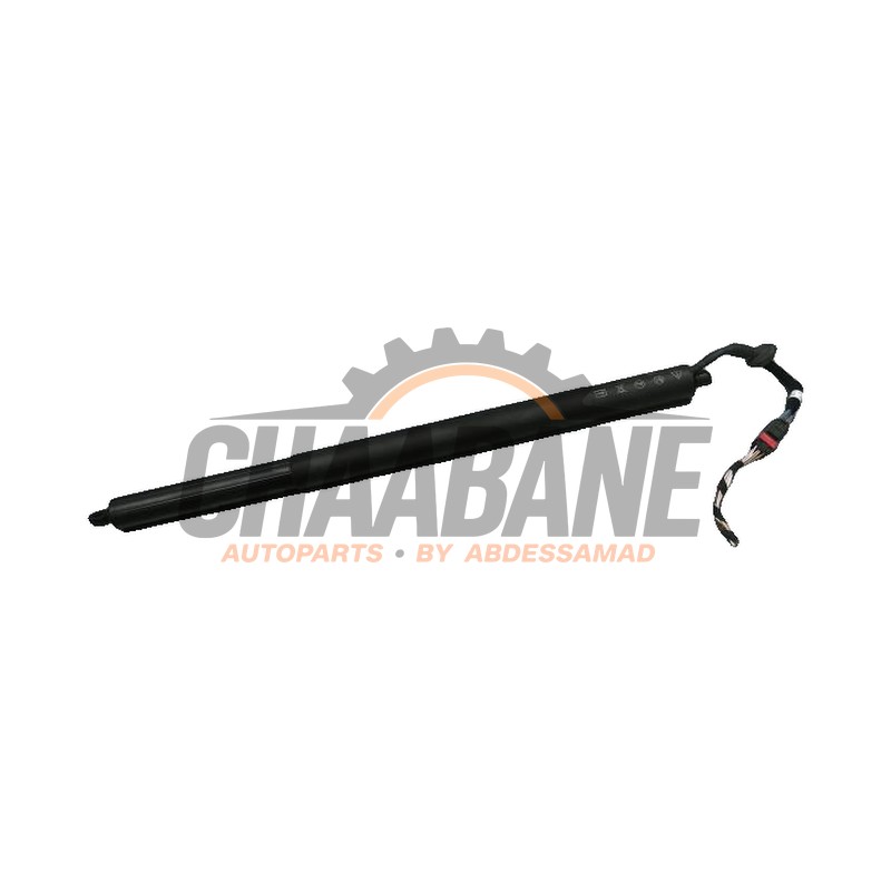 Amortisseur a gaz arriere gauche 5E7827851C Skoda Octavia 2019